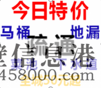 【專業(yè)疏通】低價(jià)馬桶疏通、下水道疏通、蹲便、衛(wèi)生間有異味、換
